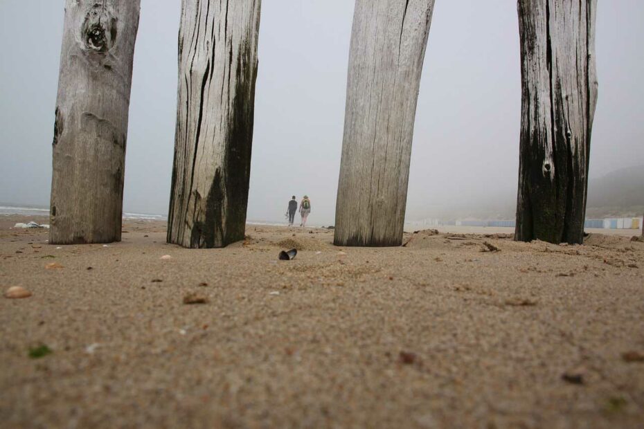 houten palen op het strand bij Zeeland